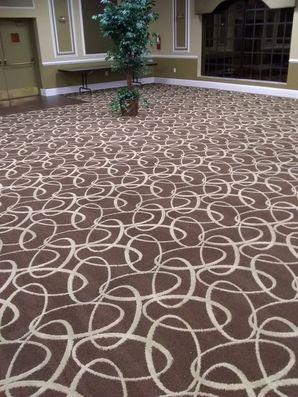 Commercial Carpet Cleaning in Boca Raton, FL (2)